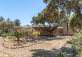 Casa de camp amb terreny en venda a la España, Colmenarejo, ref.: TR160717 foto