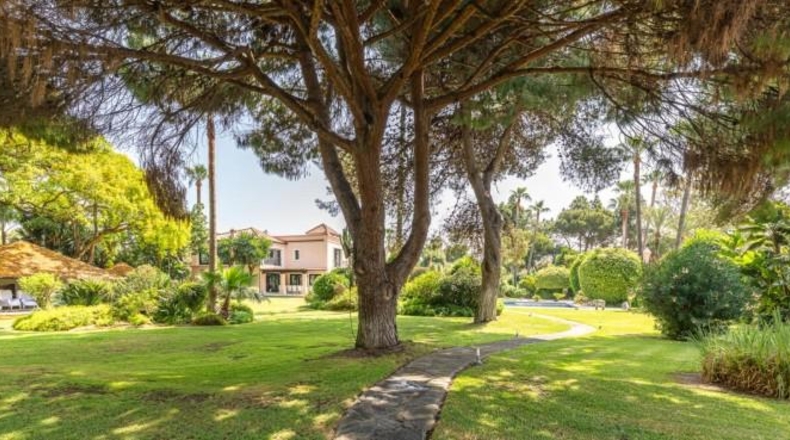Malaga - Estepona - 7415m2