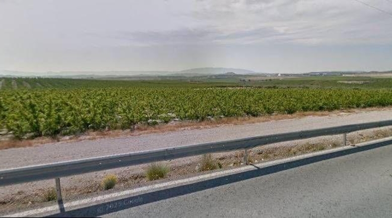 Murcia - Las Torres de Cotillas - 453082m2