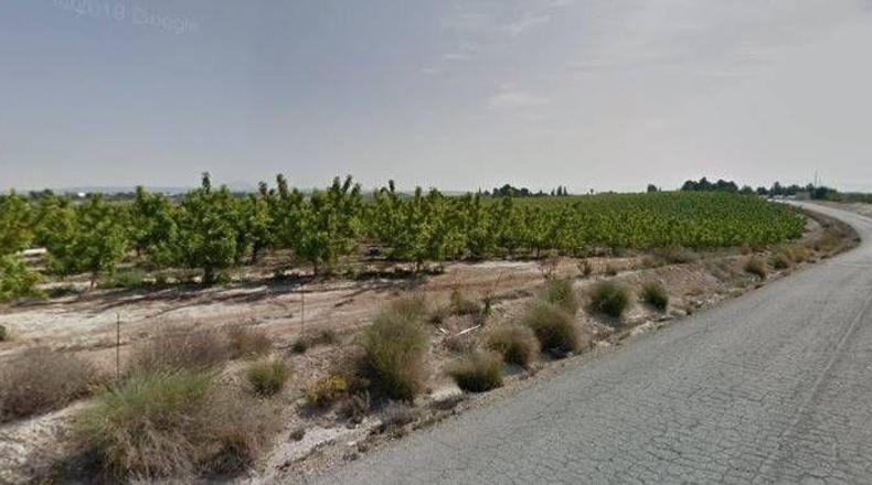 Murcia - Las Torres de Cotillas - 453082m2