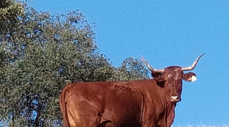 Cádiz - El Bosque - 4400000m2