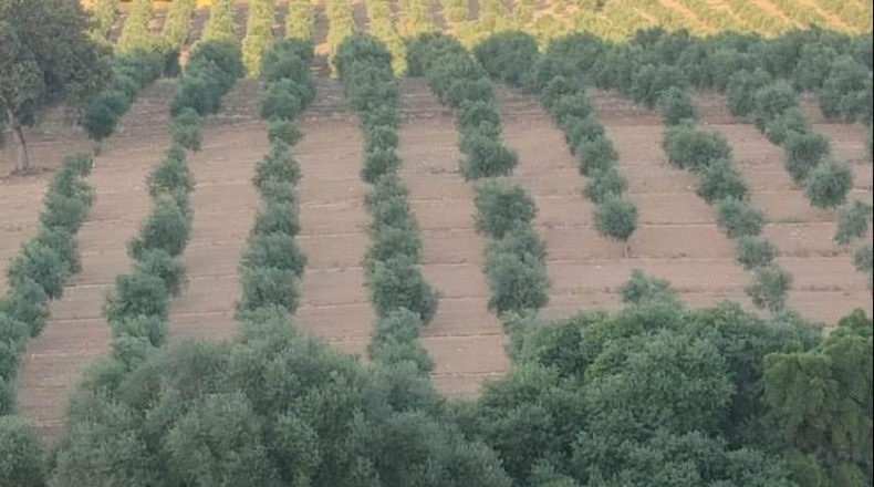 Cádiz - El Bosque - 4400000m2