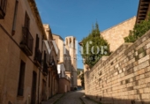 Chalet independiente con terreno en venta en la España, Barcelona, ref: TR236622 foto