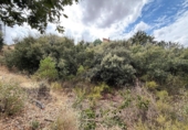Parcel·la urbanitzable en venda a la España, Valdeaveruelo, ref.: TR95527 foto