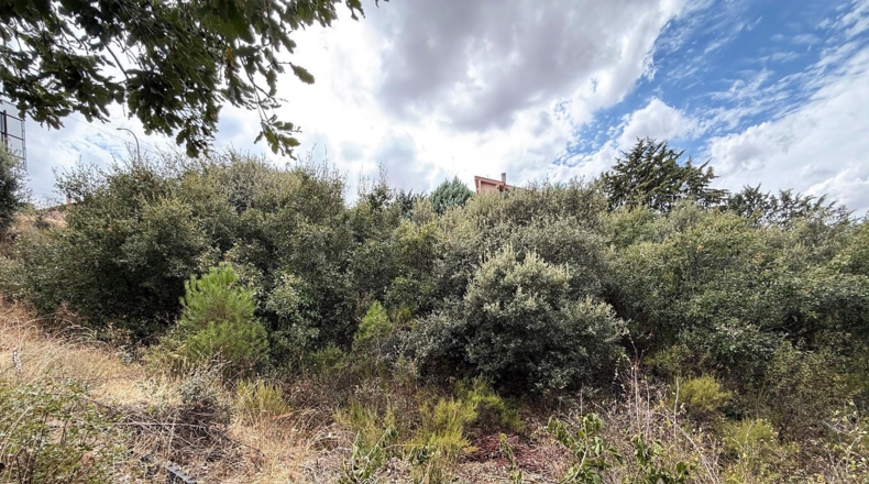 Guadalajara - Valdeaveruelo - 713m2