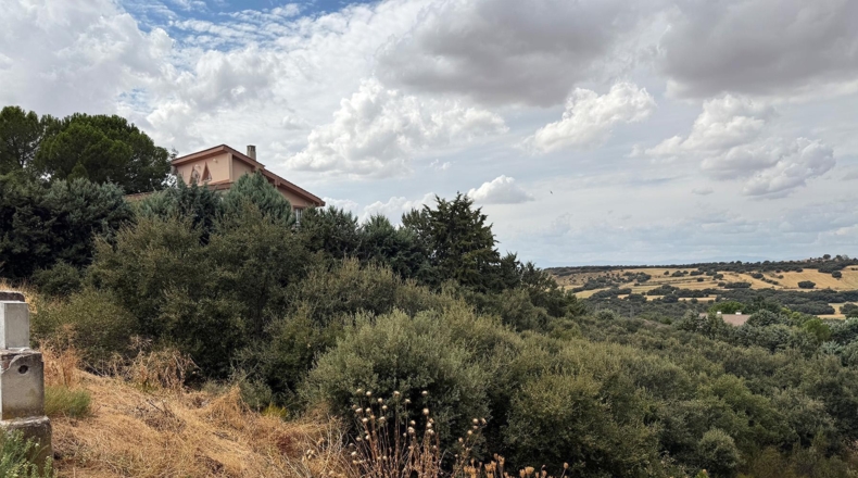 Guadalajara - Valdeaveruelo - 713m2