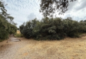 Parcel·la urbanitzable en venda a la España, Valdeaveruelo, ref.: TR95527 foto