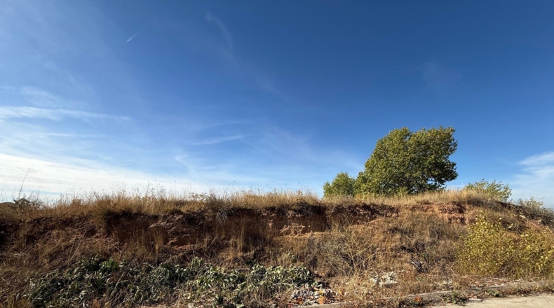 Guadalajara - Tórtola de Henares - 346m2