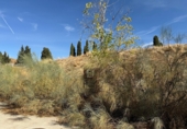 Land suitable for development for sale on España, Tórtola de Henares, ref: TR97016 photo