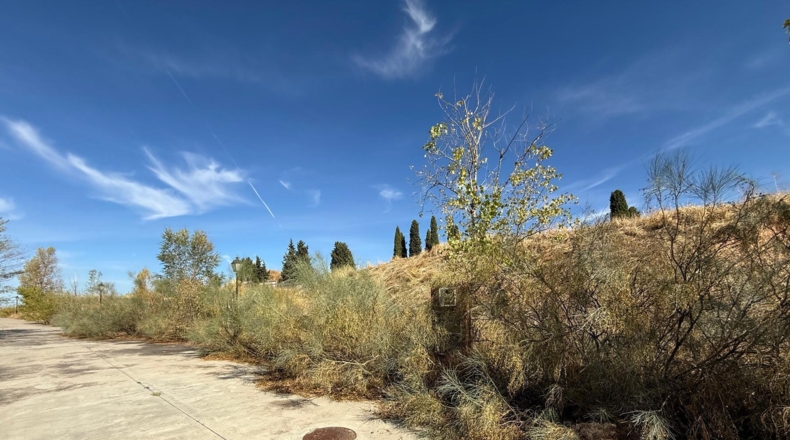 Guadalajara - Tórtola de Henares - 346m2