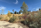 Land suitable for development for sale on España, Tórtola de Henares, ref: TR97016 photo