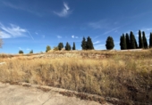 Land suitable for development for sale on España, Tórtola de Henares, ref: TR97016 photo