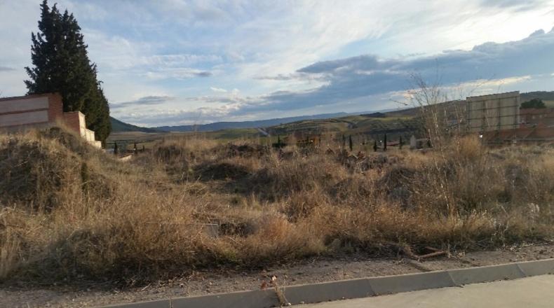 Guadalajara - Tórtola de Henares - 346m2
