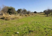 Land suitable for development for sale on España, Esparragosa de la Serena, ref: TR95557 photo