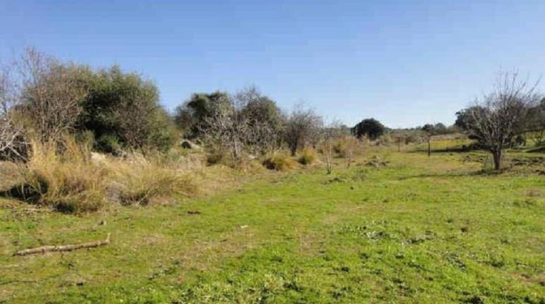 Badajoz - Esparragosa de la Serena - 62177m2