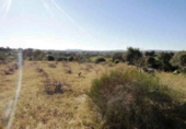 Land suitable for development for sale on España, Esparragosa de la Serena, ref: TR95557 photo