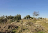 Land suitable for development for sale on España, Esparragosa de la Serena, ref: TR95557 photo