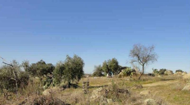 Badajoz - Esparragosa de la Serena - 62177m2