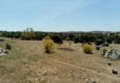 Land suitable for development for sale on España, Esparragosa de la Serena, ref: TR95557 photo