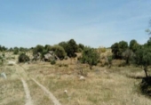 Land suitable for development for sale on España, Esparragosa de la Serena, ref: TR95557 photo