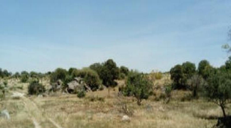 Badajoz - Esparragosa de la Serena - 62177m2