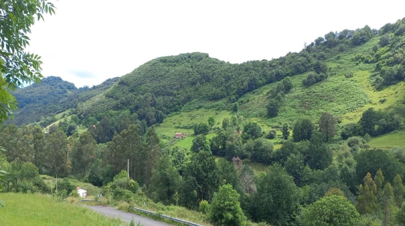 Cantabria - La Bárcena - 711m2