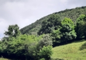Non-developable land for sale on España, Ampuero, ref: TR97185 photo