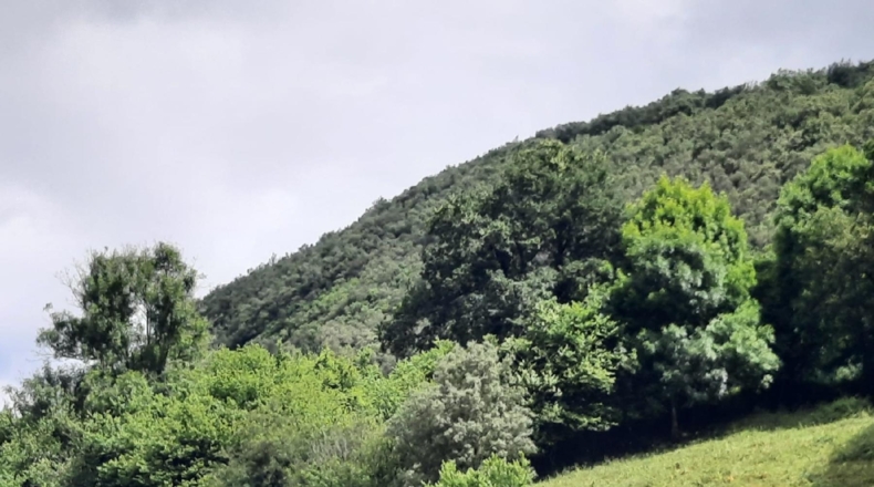 Cantabria - La Bárcena - 711m2