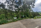 Non-developable land for sale on España, Ampuero, ref: TR97185 photo