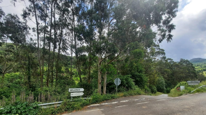 Cantabria - La Bárcena - 711m2