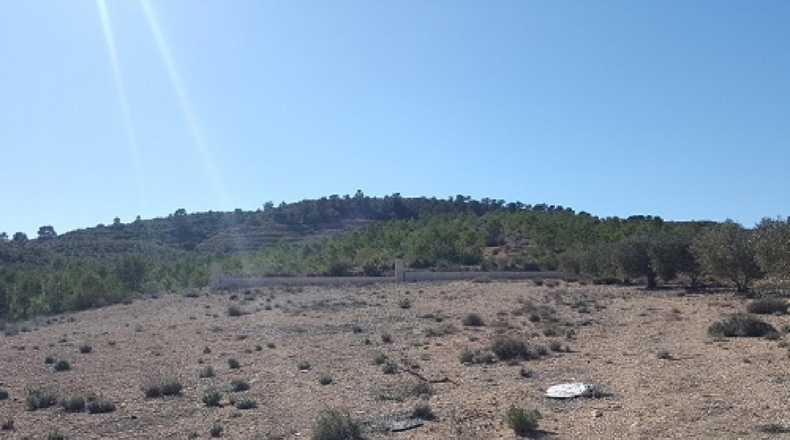 Albacete - Caudete - 11000m2