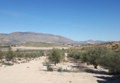 Terreno no urbanizable en venta en la España, Caudete, ref: TR95886 foto