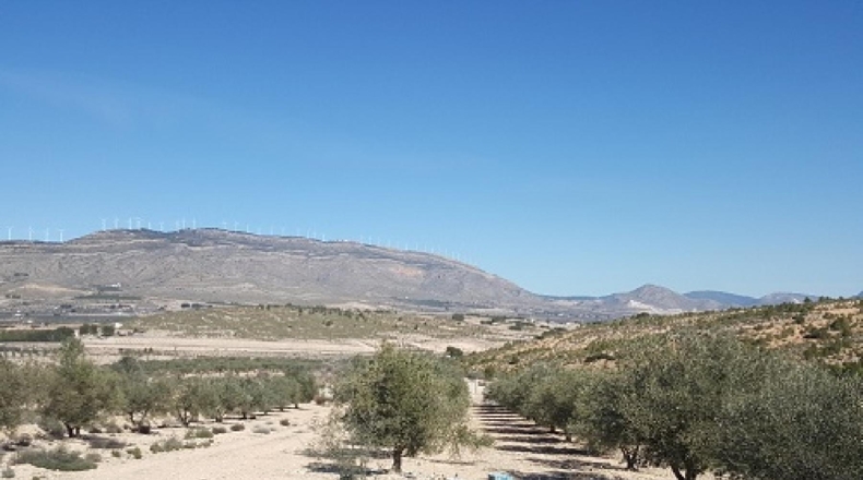 Albacete - Caudete - 11000m2