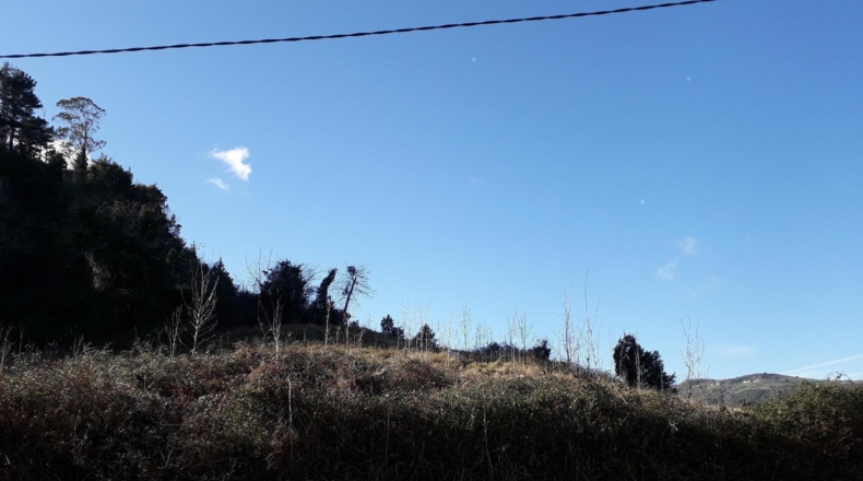 Asturias - San Pedro de Ambás - 1515m2