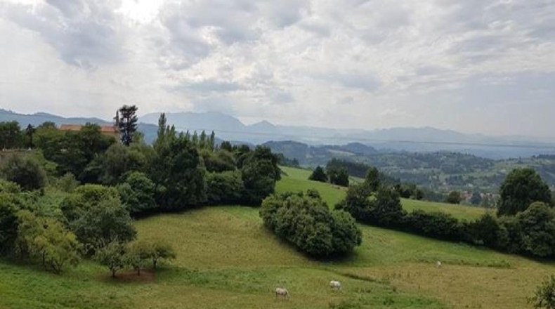 Asturias - Piñera - 5385m2
