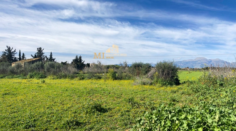 Islas Baleares - Muro - 13197m2