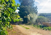 Земельный участок на продажу в городе Muro. Фото