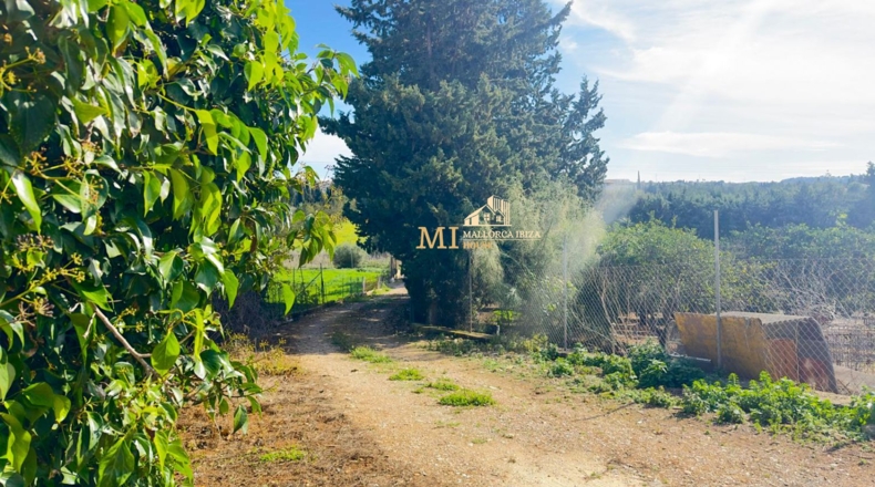 Islas Baleares - Muro - 13197m2