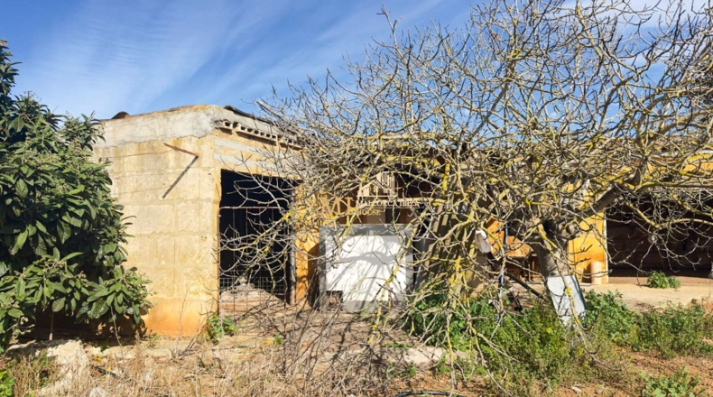 Islas Baleares - Muro - 13197m2