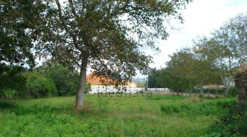 La Coruña - Santa Margarita - 2300m2