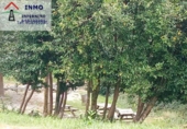 Finca rústica en venda a Avenida do Marqués de San Sadurniño ref.: TR18138 foto