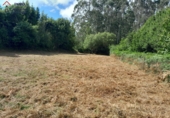 Suelo urbano en venta en Lobeira ref: TR67271 foto