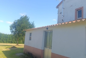 Foto 20