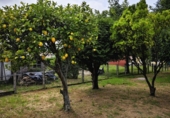 Загородный дом с участком на продажу в городе Narón. Фото