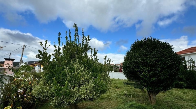 La Coruña - Valdoviño - 700m2