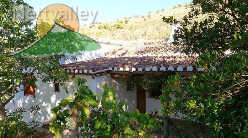 Granada - Talará - 100000m2