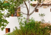 Finca rústica en venta en la España, Talará, ref: TR199468 foto