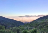 Finca rústica en venta en la España, Talará, ref: TR199468 foto