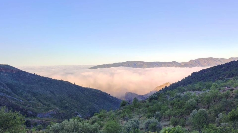 Granada - Talará - 100000m2