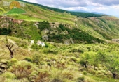 Finca rústica en venta en la España, Talará, ref: TR199468 foto
